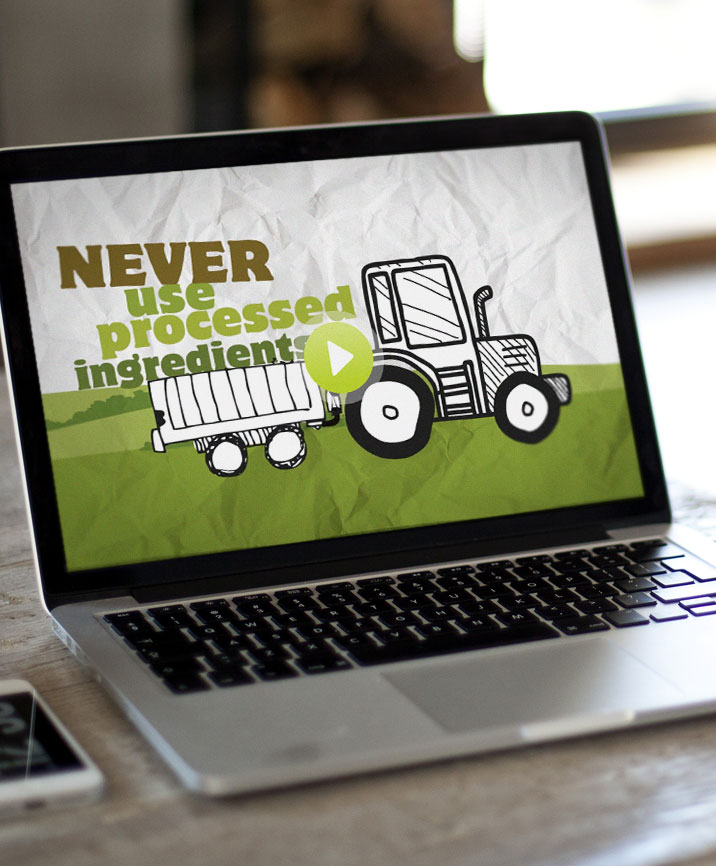 motion graphic design contract caterer